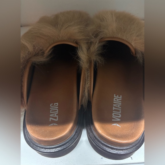 Zagid and voltaire slides - Picture 3 of 6